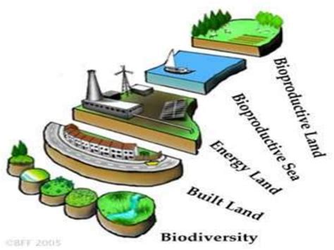 Mapas Mentales Huella Ecologica PPT Descarga Gratuita