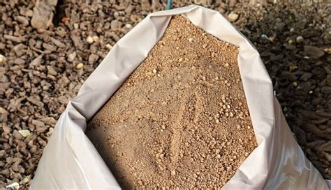 Guano Un Fertilisant Naturel Pour Votre Jardin Compostere