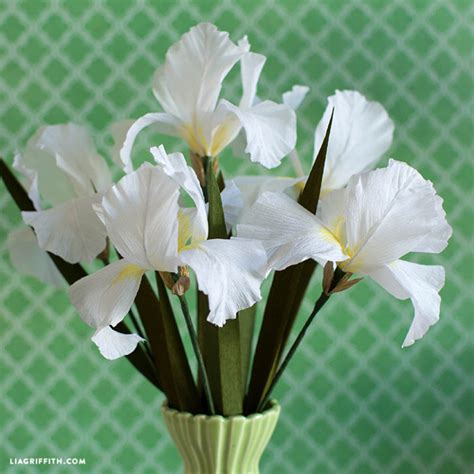 Crepe Paper Iris Flowers Lia Griffith