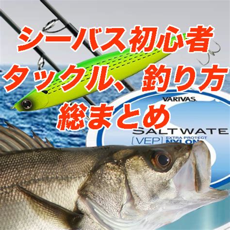 《堤防釣りの仕掛け》遠投カゴ釣りでアジやチヌを釣ろう！ 釣り情報サイトルアー、堤防釣り、仕掛け、釣り方