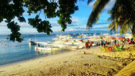 Day Bohol Sun Sea Snorkeling Bk Shirley