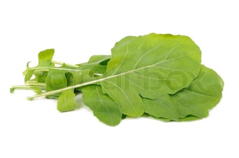 Green Rocket Salad Leaves Isolated on ... | Stock image | Colourbox