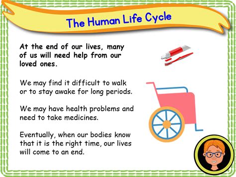 The Human Life Cycle Ks1year 2 Ec Publishing