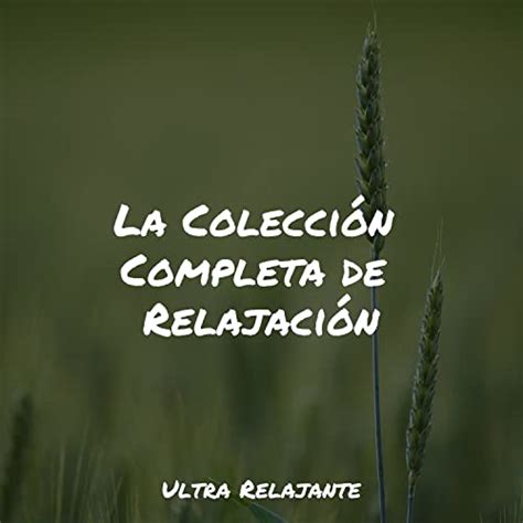 La Colección Completa de Relajación by Meditación Guiada Música