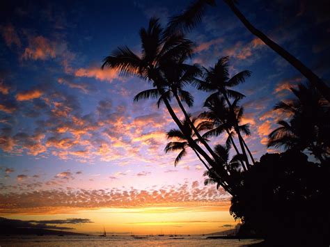 🔥 [40+] Hawaiian Sunset Wallpapers | WallpaperSafari