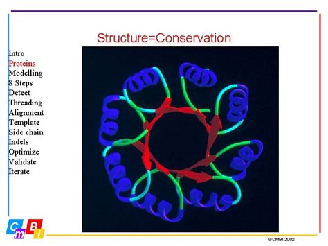 Homology Modelling Intro Proteins Modelling 8 Steps Detect