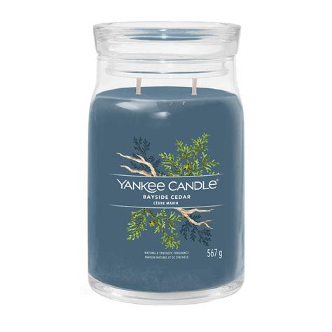 Yankee Candle Bayside Cedar Signature Duftkerze Gro Es Glas G