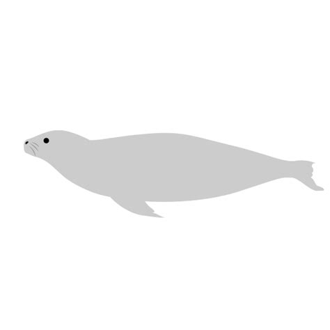 ゴマフアザラシ 無料イラスト 海の仲間たち 海の生き物フリーイラスト素材集