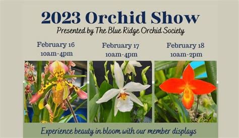 Orchid Show - Visit Oconee South Carolina