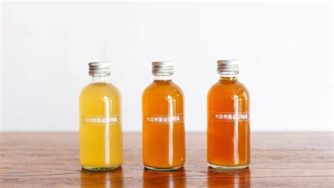 Comment Fabriquer Une M Re De Kombucha R Volution Fermentation