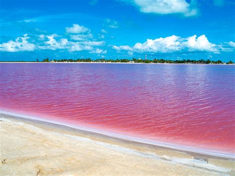 Pink Lake in Mexico: Yay or Nay? | Travel and Keep Fit by Alex Jaskolowska