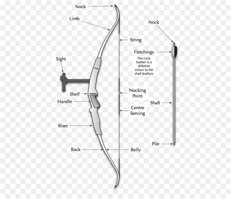 Bow Arrow Diagram | atelier-yuwa.ciao.jp