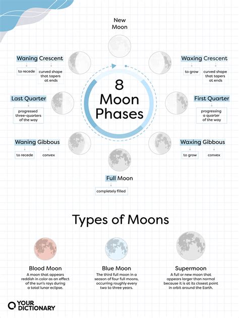 Moon Phases: Names, Types, and Lunar Calendar | YourDictionary