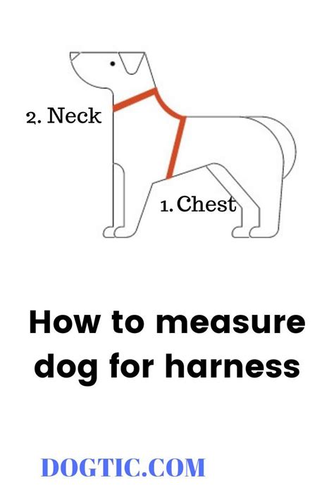 How To Measure Dog For Harness 2 Places Neck And Chest Make Sure