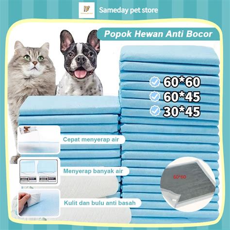 Jual Popok Penyerap Kucing Anjing Anti Bocor Pad Pipis Anjing Underpad