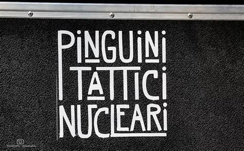 Pinguini Tattici Nucleari Tour Estivo 2023 Celebra Rubami La Notte