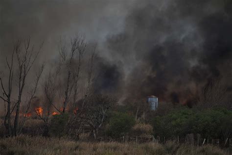 Infobae En Los Incendios Del Delta Del Paraná Fuego Humo Y Una Ley De