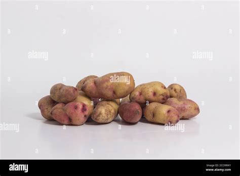 Types Of Potatoes Peruvian Potatoes Still Life Huayro Potato Stock