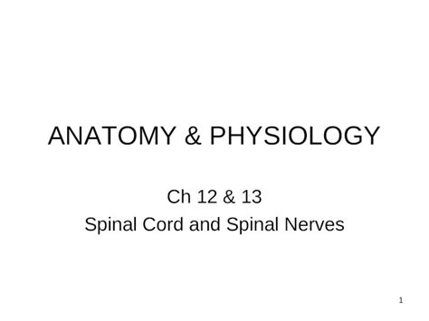 PPT ANATOMY PHYSIOLOGY Ch 12 13 Spinal Cord And Spinal Nerves 1