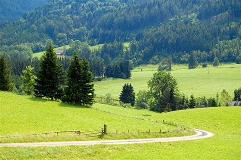 Austria Meadow Forest - Free photo on Pixabay - Pixabay