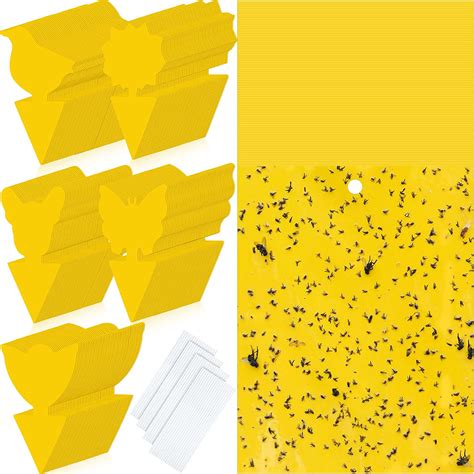 300 Pcs 6 X 8 Inch Sticky Traps Fruit Fly Traps Yellow