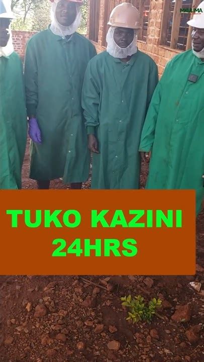 vijana wanafuga kuku kwa bidii youtube
