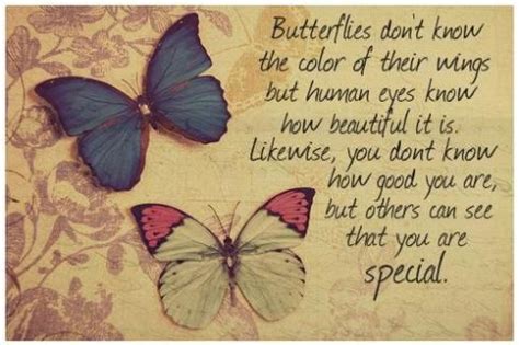 Beautiful Butterfly Pictures With Quotes