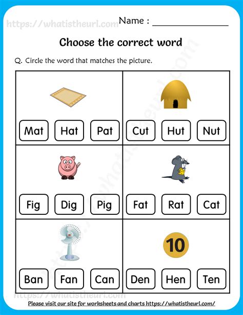 Choose The Correct Word Worksheets For Grade 1 Your Home Teacher