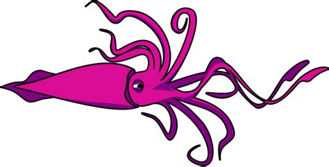 Squid clipart, Squid Transparent FREE for download on WebStockReview 2024