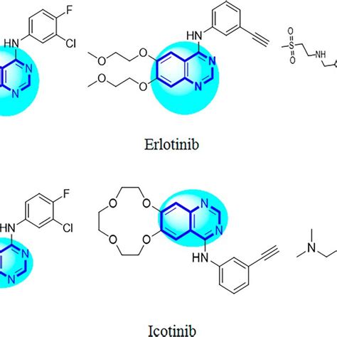 Clinically approved quinazoline scaffolds as EGFR inhibitors