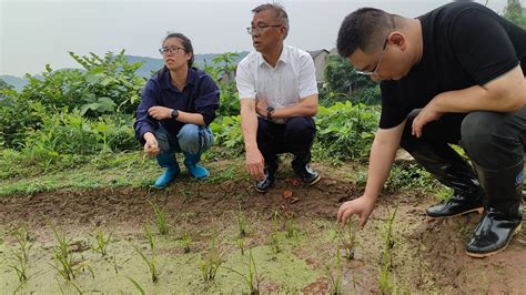 学院科技特派员在垭口村开展农业科技指导服务