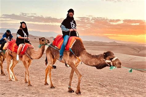 Marrakech Balade Dos De Chameau Et Quad Dans Le D Sert D Agafay