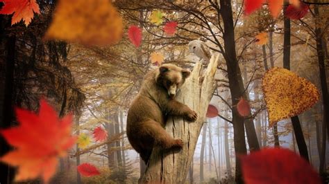 Animals Autumn Wallpapers - Top Free Animals Autumn Backgrounds ...