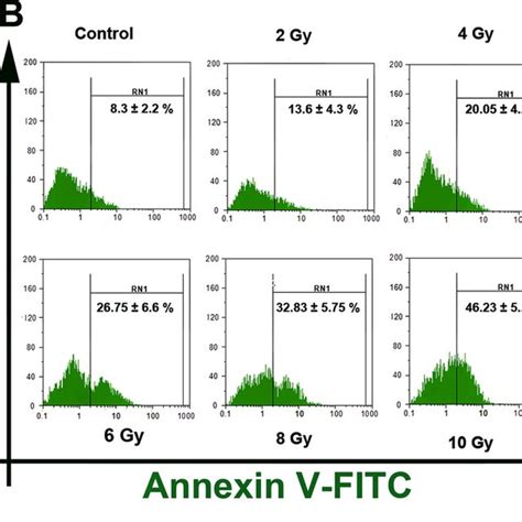 Mtt Assay And Flow Cytometry Analysis Viability Of Mcf 7 Cell