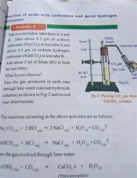 Zeaction Of Acids With Carbonates And Metal Hydrogen RbonatesActivity 4