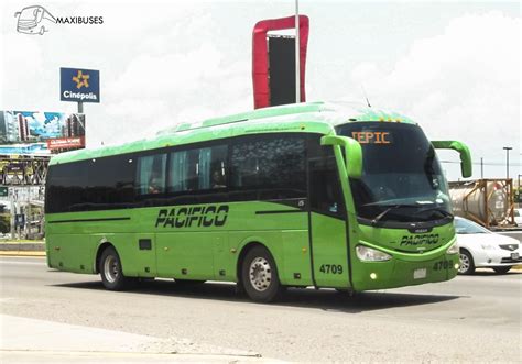 Maxibuses Transportes Del Pac Fico