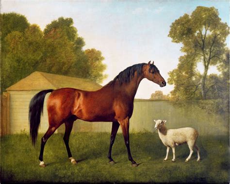 George Stubbs Horse Sheep Rare On Canvas Museum Quality Ready Etsy