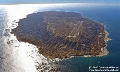 The Special Cats Of San Nicolas Island And The Special Person Who Looks