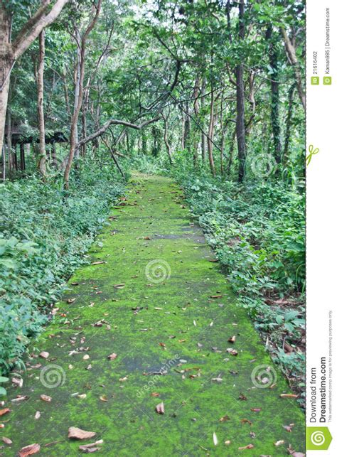 Natural attractions stock photo. Image of agriculture - 21616402