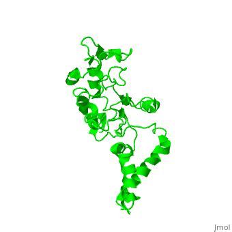 Ribosomal Protein S2 Proteopedia Life In 3D