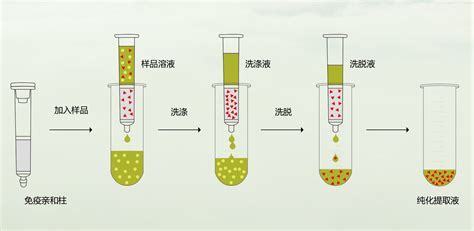 南京微测新品推荐┃mycotest™系列真菌毒素免疫亲和柱 南京微测生物科技有限公司