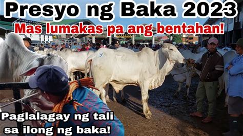 Updated Presyo Ng Baka January Cattle Trading Capital Of The