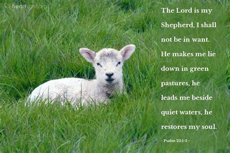 Psalm 231 3—the Lord Is My Shepherd I Shall Not Be In Want He Makes