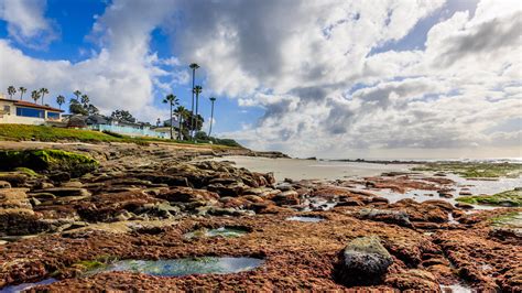 An Eventful Afternoon at Windansea Beach - Steve Skinner Photography