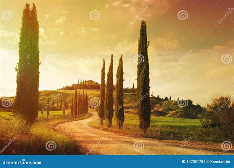 Art Vintage Tuscany Countryside Landscape Stock Photo Image Of