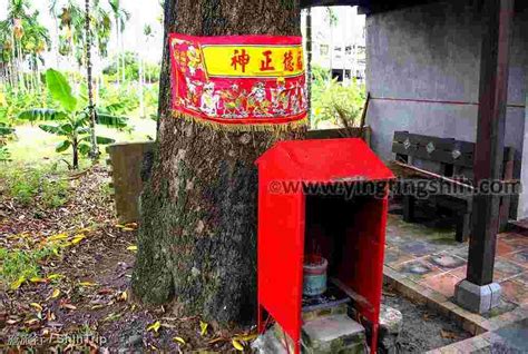 第4127篇 屏東竹田 神木壇／樹神伯公／芒果樹伯公x台灣施旅行｜pingtung Zhutian Shenmu Temple X