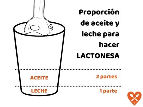 Cómo hacer MAYONESA SIN HUEVO Con leche o Lactonesa