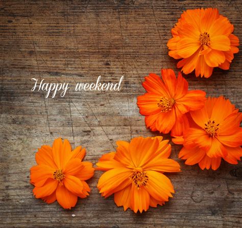 Happy Weekend Orange Flowers Days Weekend