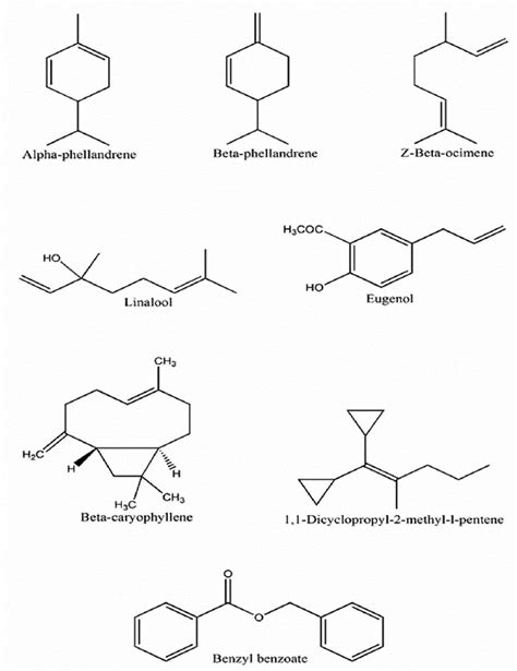 Structure Of Essential Oil Components From Cinnamomum Sulphuratum Download Scientific Diagram