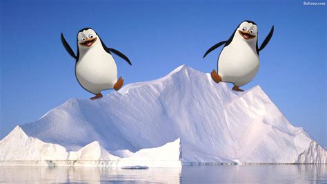 Penguin Desktop Wallpaper 31698 - Baltana